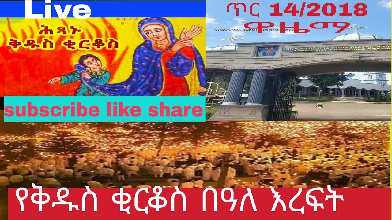 25 January 2026
