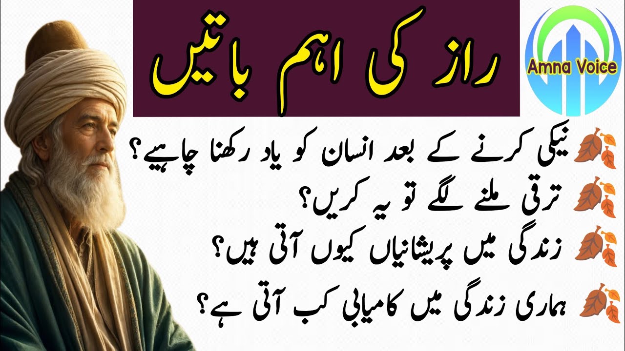 Rumi Quotes | Sunheri Golden Words | Hikmat ke baatin | Best Urdu Quotes#quotes 