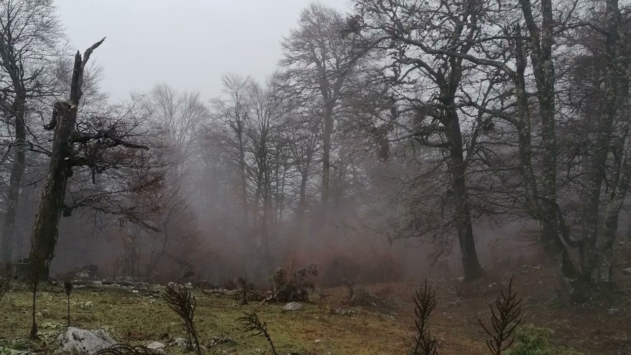 Трже Радич јатаган - Trže Radič jatagan (други снимак)