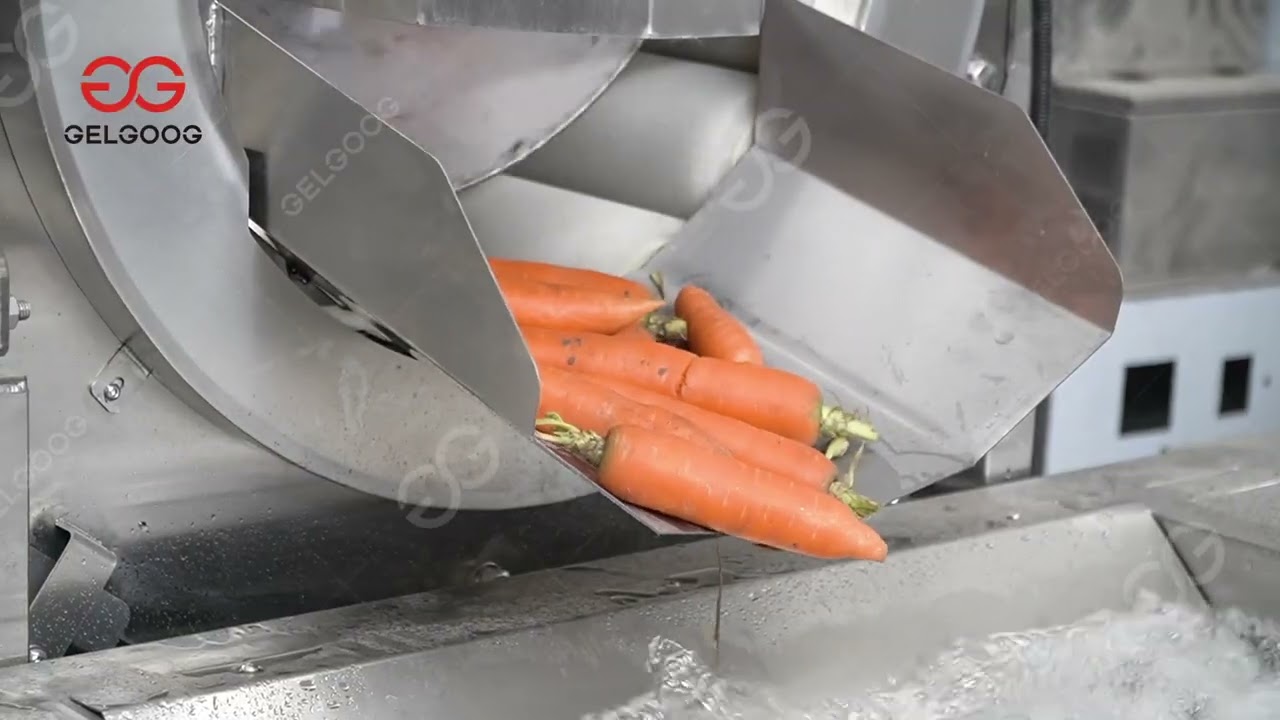 Automated Carrot Washing Machine &ndash; Fast & Efficient Cleaning for Fresh Carrots!