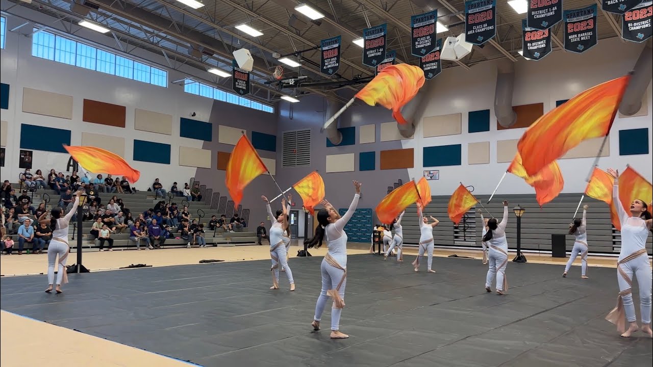 WTCA Championships * Finals Performance