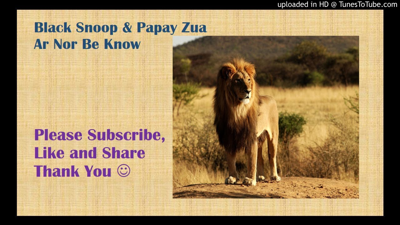 Black Snoop & Papay Zua - Ar nor bin know
