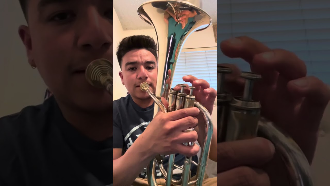 El Del Palenque 🔥 (TUTORIAL) adornos para Armonía 🎶