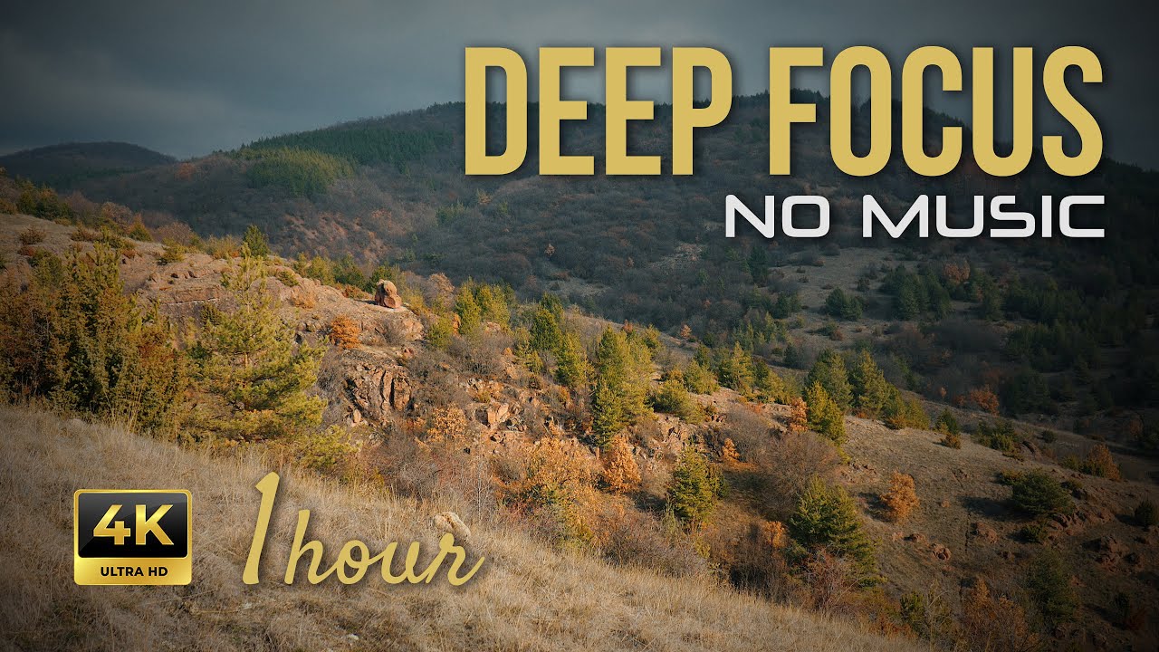 1 Hour Deep Focus (No Music) | Tranquil Mountain Hills | Nature Ambience for Study Background