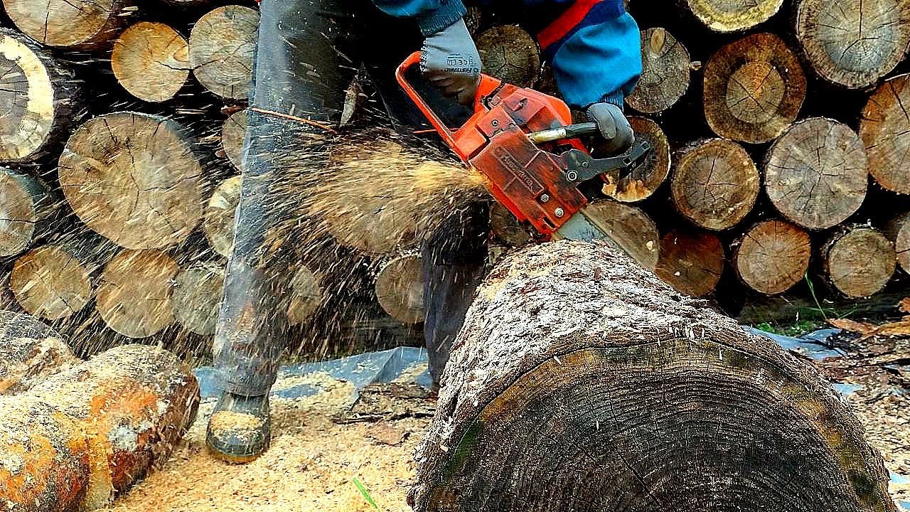 Najlepsza Husqvarna 254 w akcji !  drewno sosna