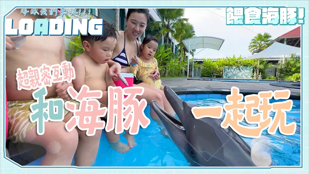 【峇里島可以很親子EP3】峇里島躺著玩，什麼都不用安排超級爽！這次鳥家帶你去海豚友善公園，波波的初吻被海豚奪走了！
