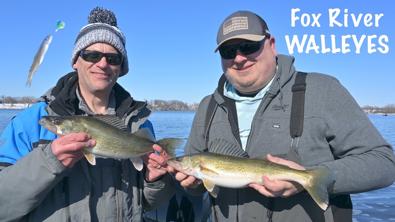 Jigging for TONS of Fox River Walleyes