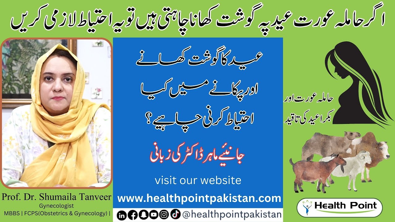 Can Pregnant Lady Eat meat | Kiya Hamla aurat Eid ka gosht kha sakti han? | Dr. Shumaila Tanveer