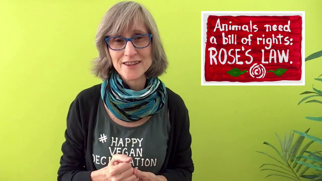 Veganphobia: Bullying Animal Rights Activists