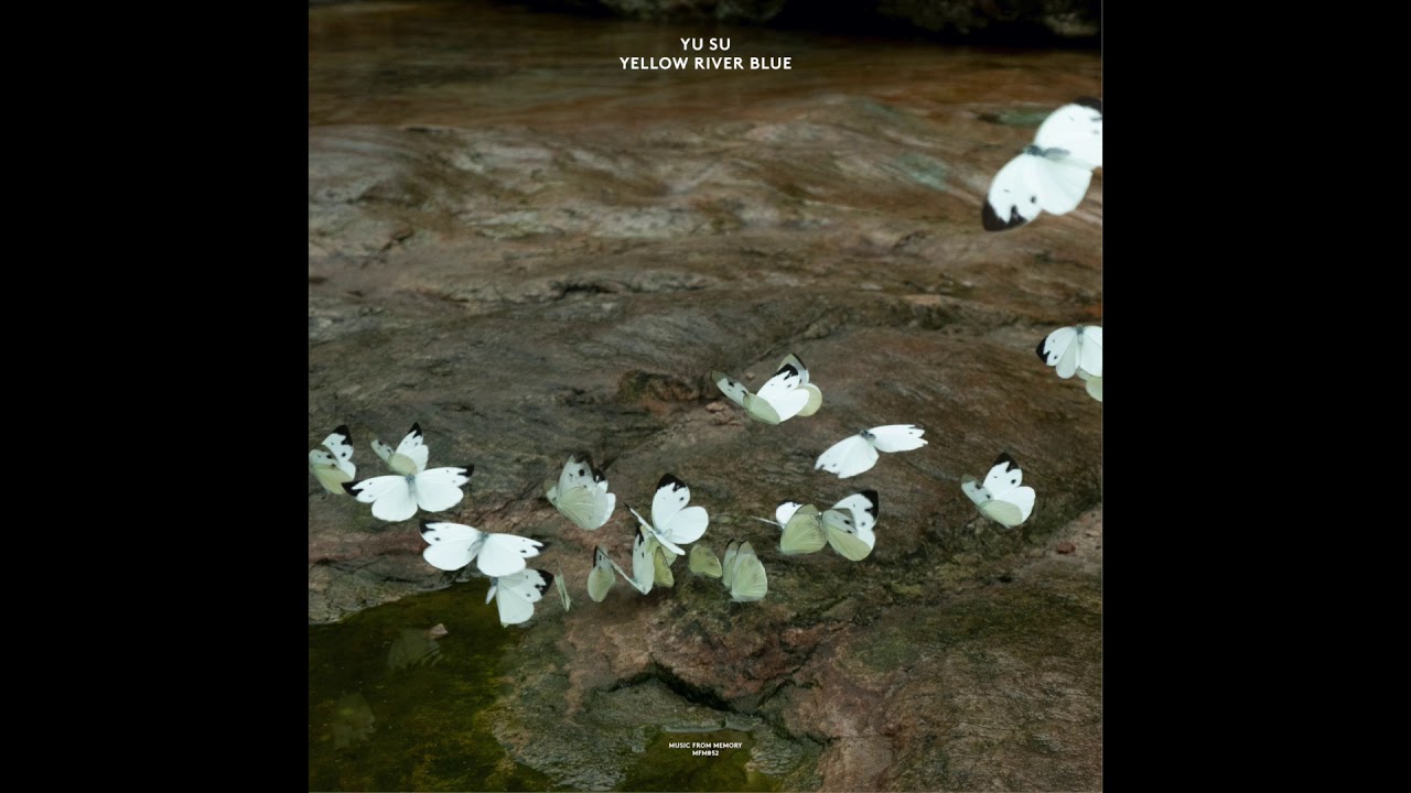 Yu Su - Melaleuca
