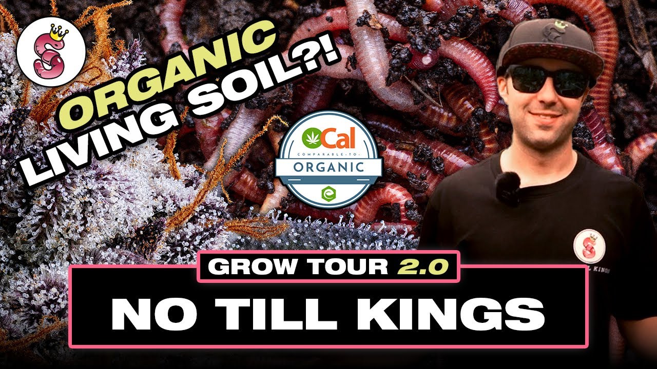 No Till Kings: Grow Tour, Unlocking the Secrets of Living Soil