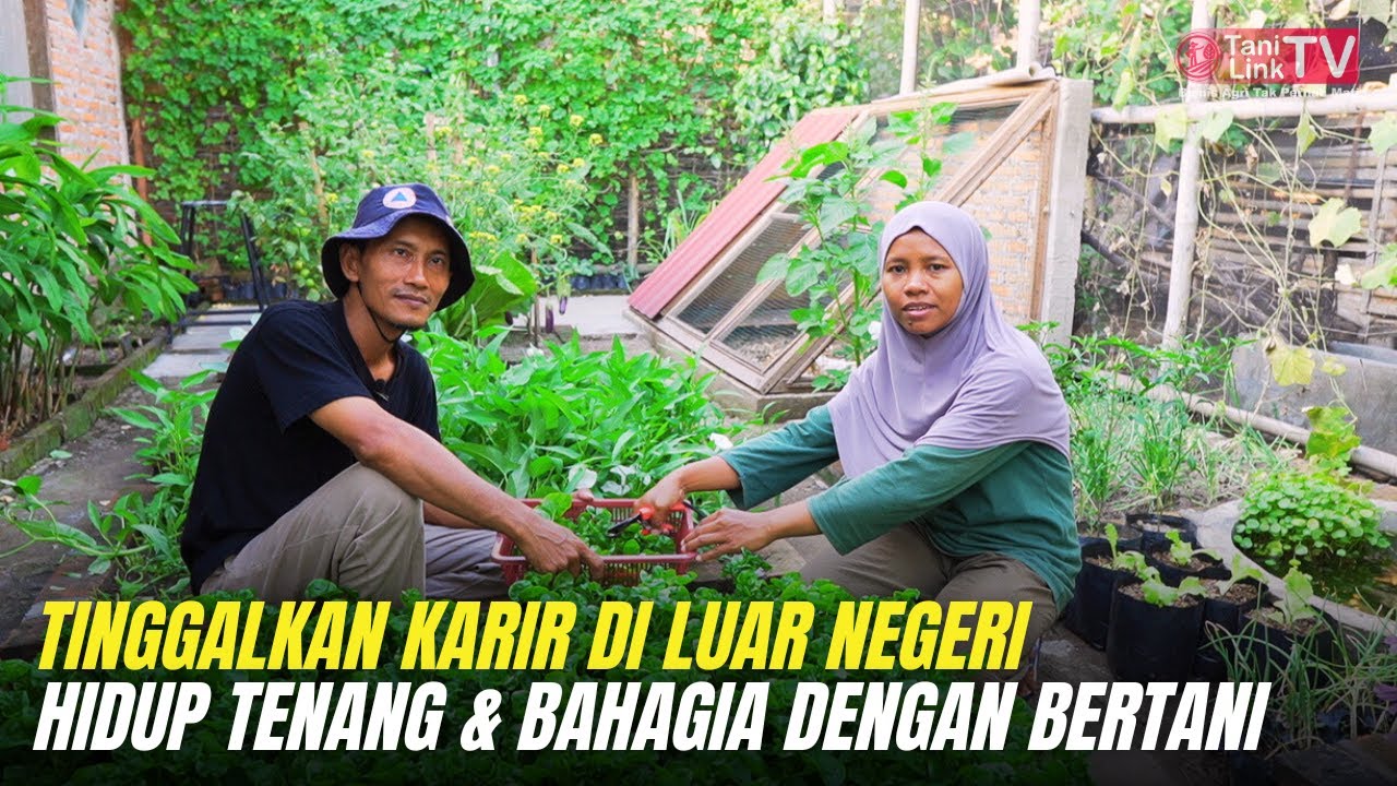 Mandiri Pangan dan Mandiri Finansial Dengan Integrated Farming Ala Yoso Farm