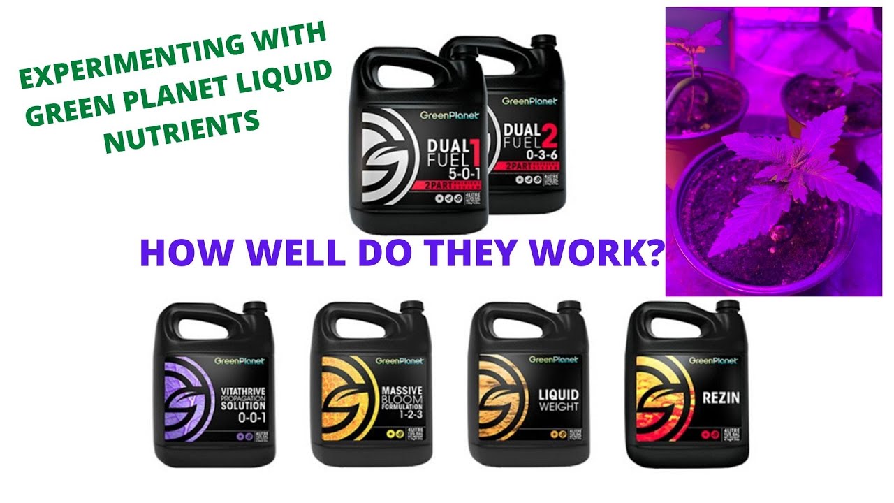 EXPERIMENTING WITH GREEN PLANET LIQUID NUTRIENTS
