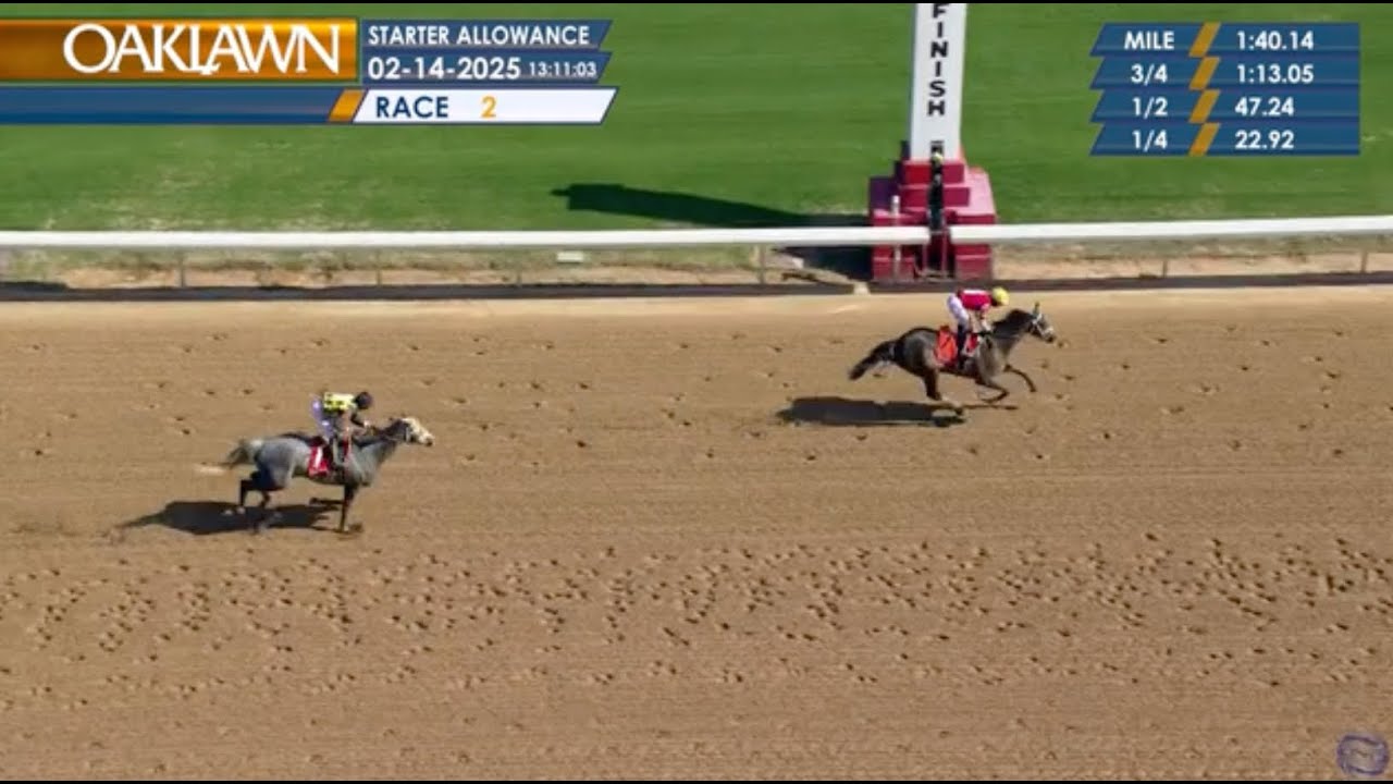 Cashmeup (#7) WINS on 2/14/2025 at Oaklawn Park
