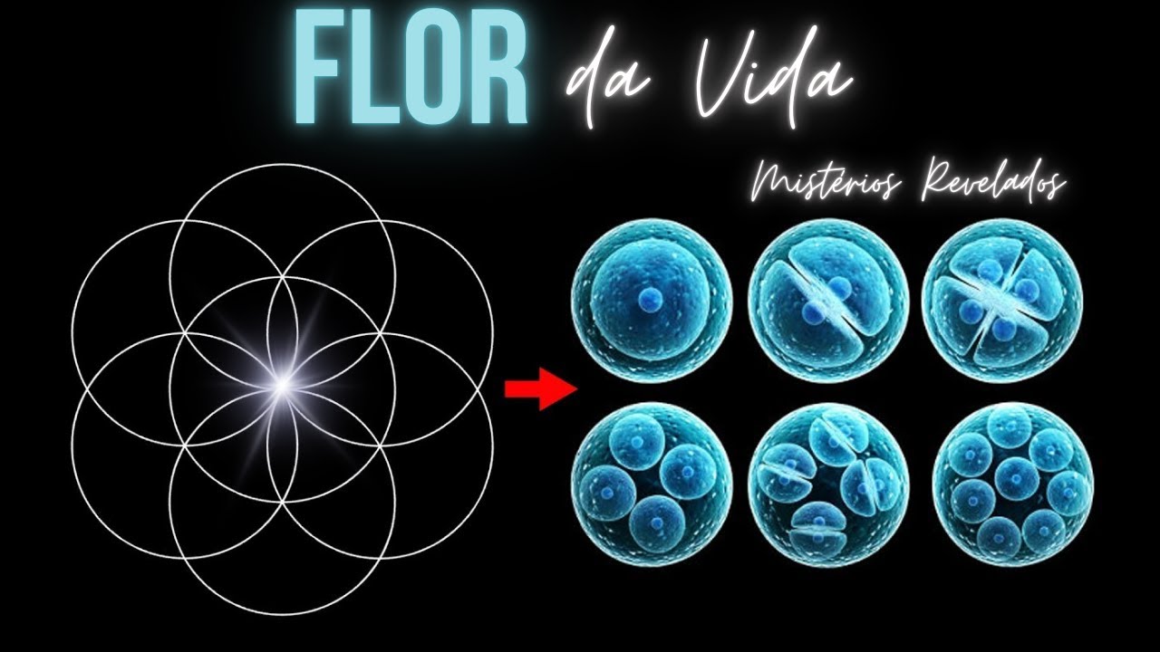 Flor da Vida: A Geometria Sagrada que Conecta Tudo