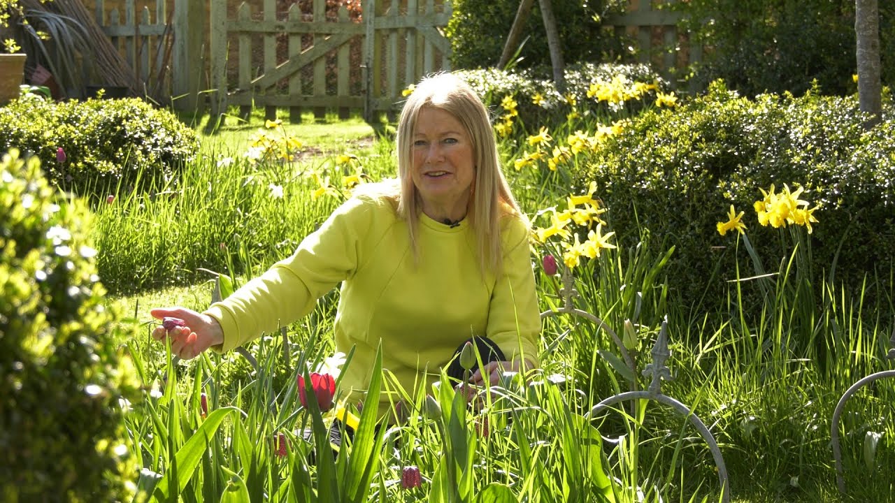 My Garden Highlights - APRIL