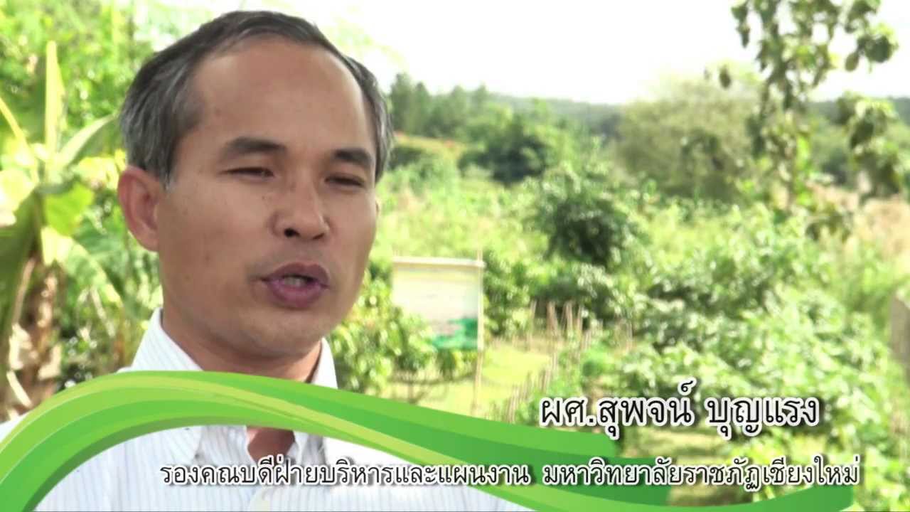 Presentation วิสาหกิจชุมชมสันมหาพน (ผักเชียงดา)