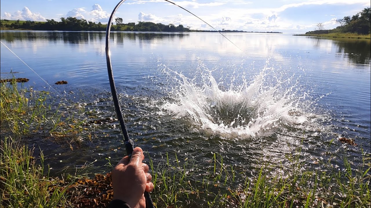 “Quando o peixe bate ASSIM… segura o coração! 💥🎣”