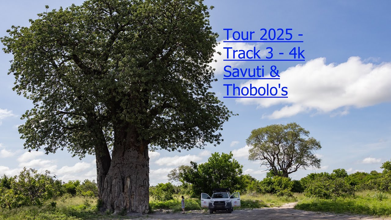 Tour 2025 - Track 3 - Botswana Savuti and Thobolo`s