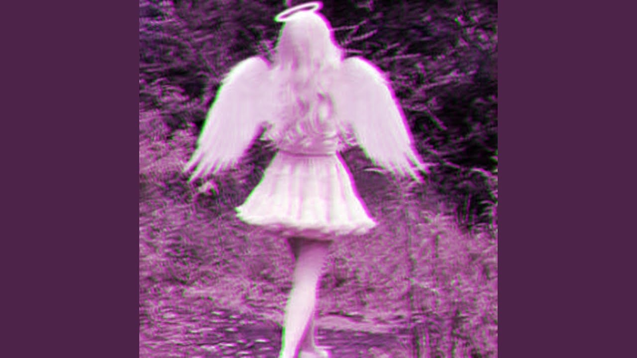 if these wings could fly