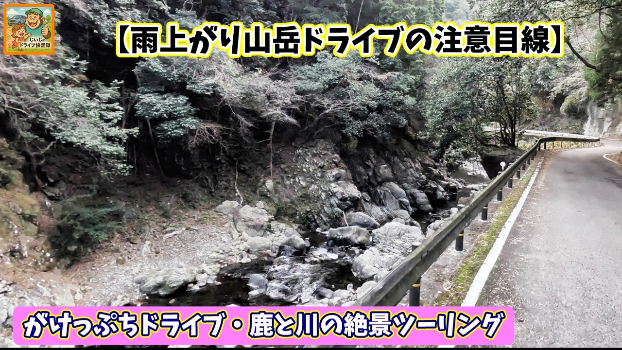 【絶景ドライブ】高野山からやどり温泉へ！山岳道路の注意点と野生動物に出会う旅　ジジのドライブ快走録