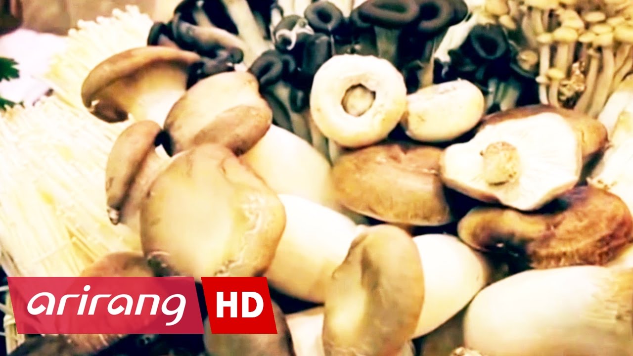 Arirang Special(Ep.358) Korean Mushrooms Captivating the Global Palate _ Full Episode