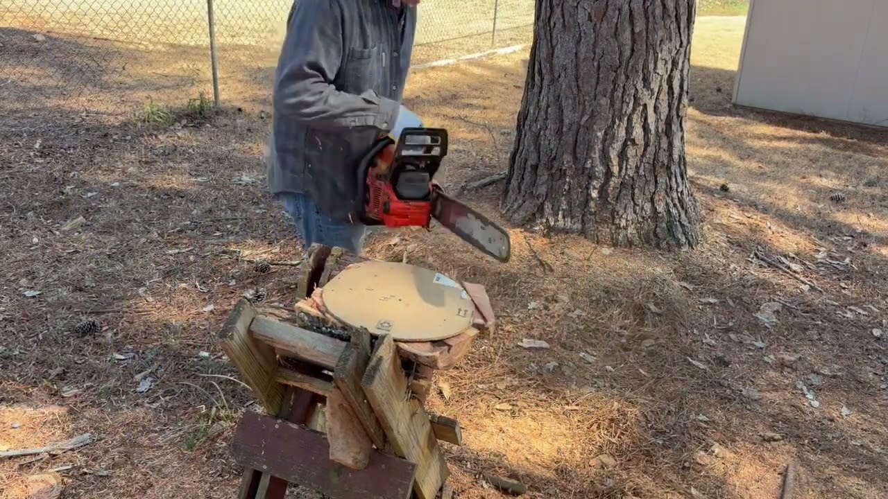 Processing cherry log with chainsaw