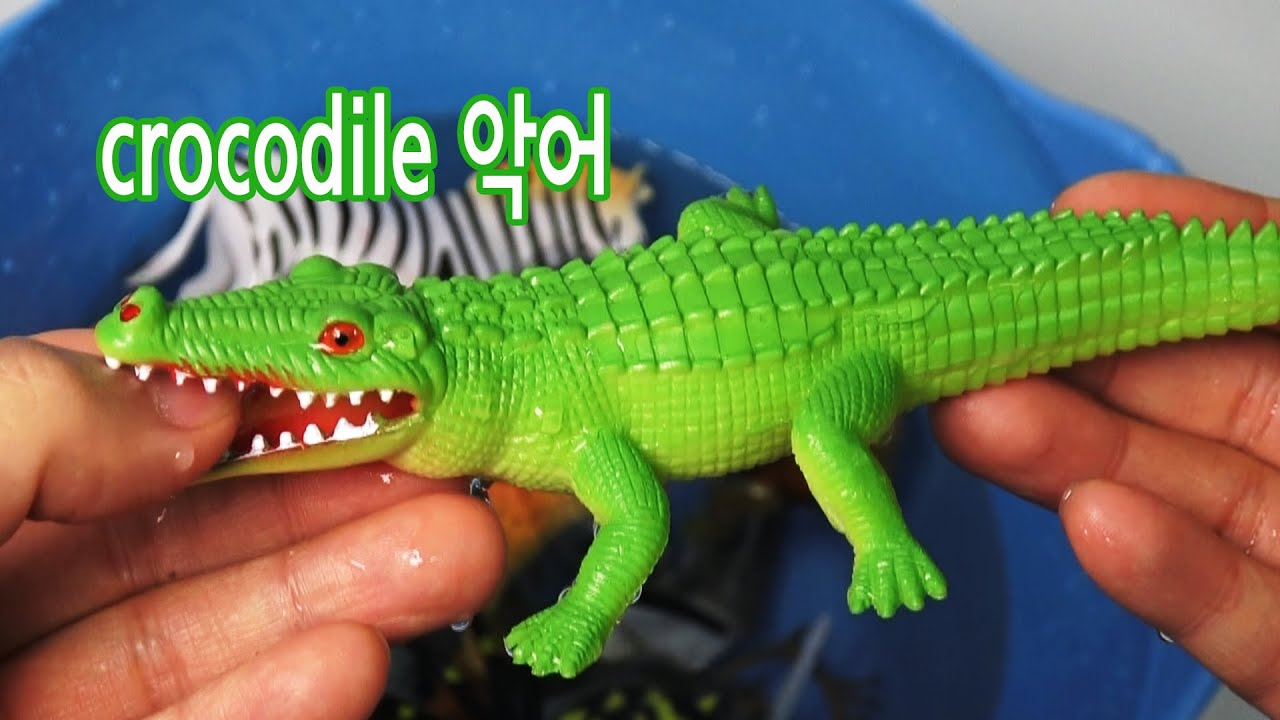 장난감으로 한국어와 영어를 함께 배워보는 키즈를 위한 동물 이름 배우기