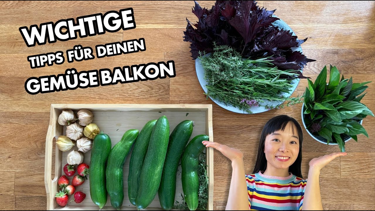 Ernte auf dem Balkon - vermeide diese Fehler! | mein Ökosystem