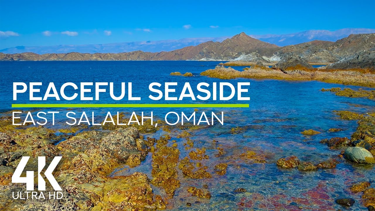 Relaxing Sounds of Oman Coastline - Sea Waves & Seagulls - 4K Peaceful Seaside Retreat, East Salalah