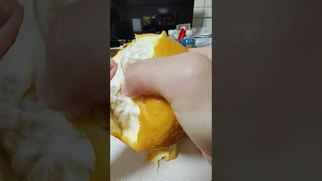 吃大虎頭柑,他只是裝飾品通常是不會吃的但我還是吃了Www