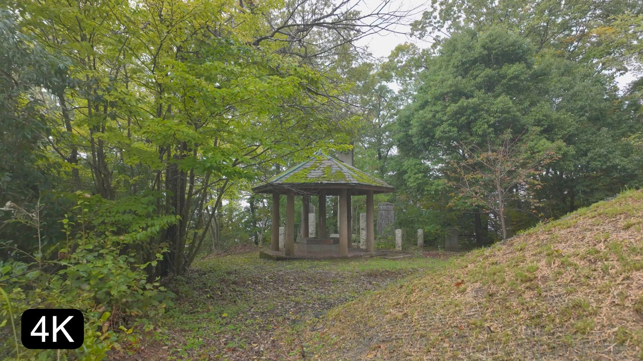 4K Japan Immersive Walk | Ancient Shrine, Burial Mound & Birdsong in Sudden Rain