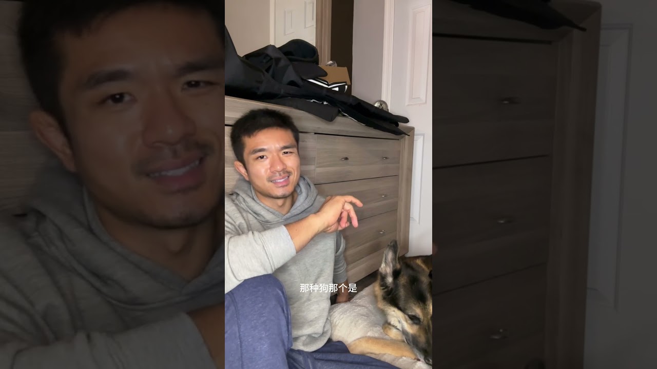 你想养凶猛犬种？