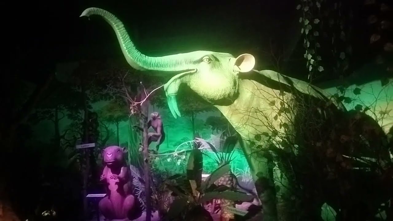 THE DARK RIDE IN SCIENCE CITY...#shortsfeed#youtubeshorts#trendingvideo#viralvideo#youtubevideo