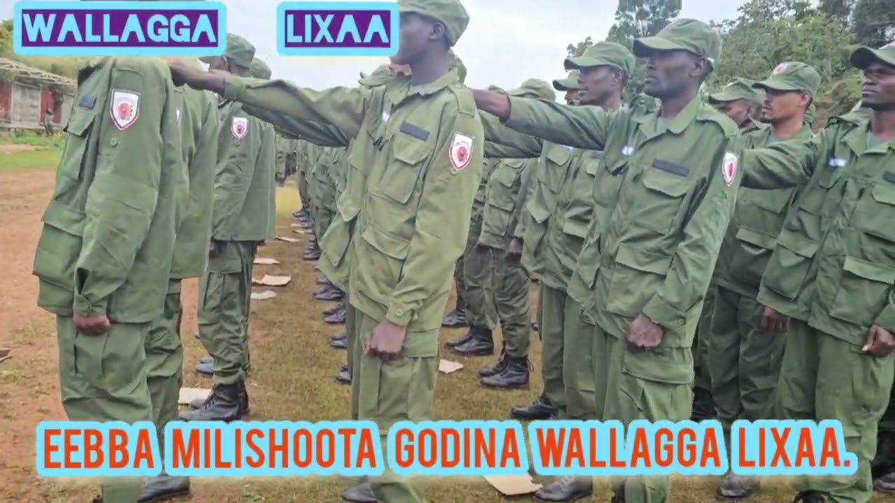 Waxabajji 2017 Eebba Miliishaa Godina Wallagga Lixaa Aanaalee hunda irraa leenji'aa turan.