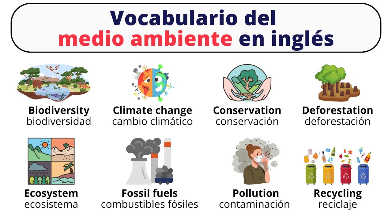 Vocabulario del medio ambiente en inglés