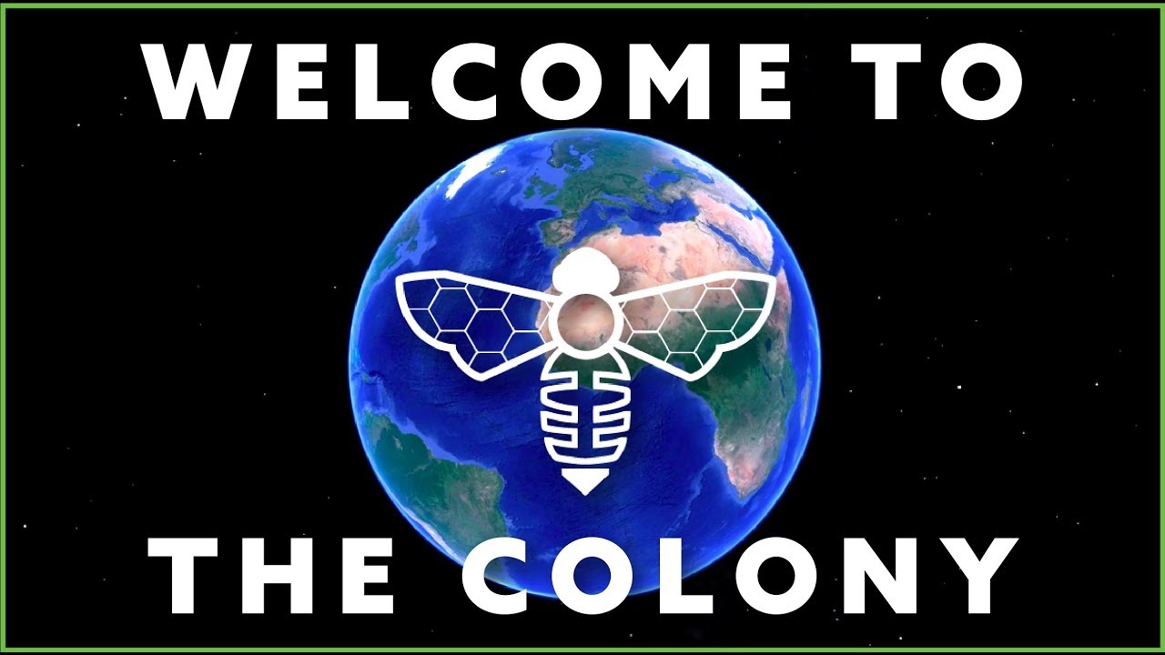 Welcome to the Bee-Nails Colony