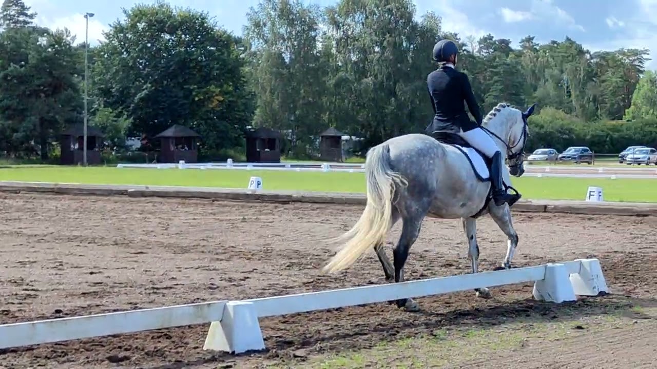 Msv b1 i dagstorp 10/8-2024, 64%