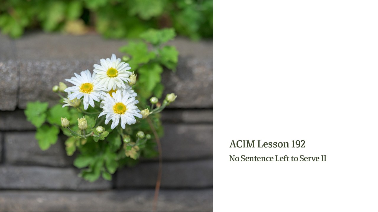 ACIM Lesson 192 &mdash; No Sentence Left to Serve (Male) | Devotional Song