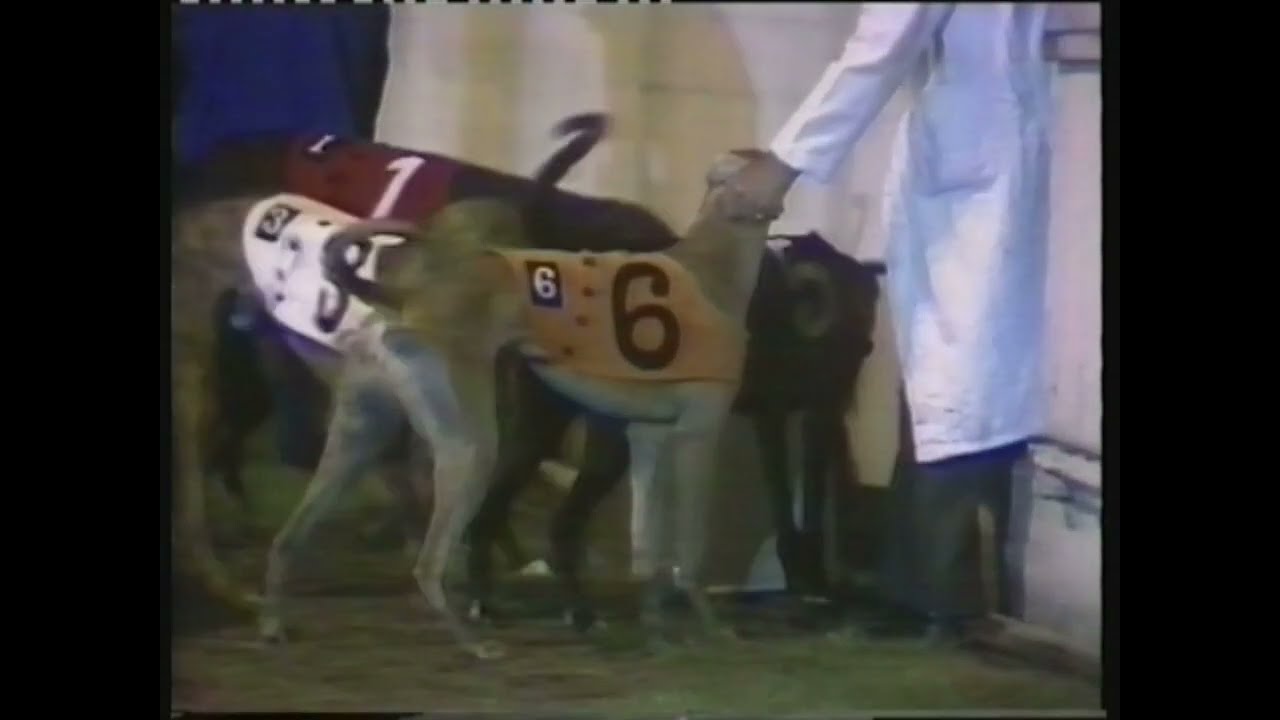 1979 IRISH DEBY FINAL - PENNY COUNTY