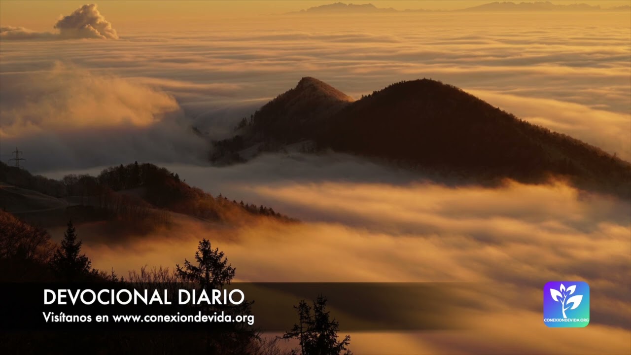 Devocional diario - 2026-02-11 - Ni ansiedad ni calma excesiva sino una vida con diligencia