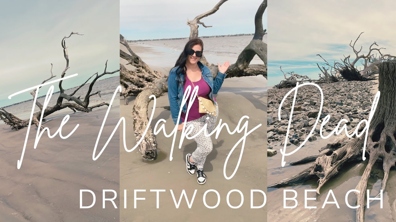 THE WALKING DEAD FILMING LOCATIONS PT 2: DRIFTWOOD BEACH, HOME OF OCEANSIDE COMMUNITY! JEKYLL ISLAND