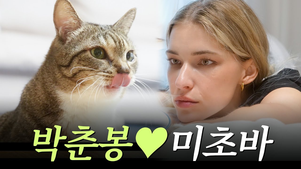 추석 연휴 힐링하기 좋은 미초바와 춘봉이의 송편 먹방 (집사도 같이 먹어요)