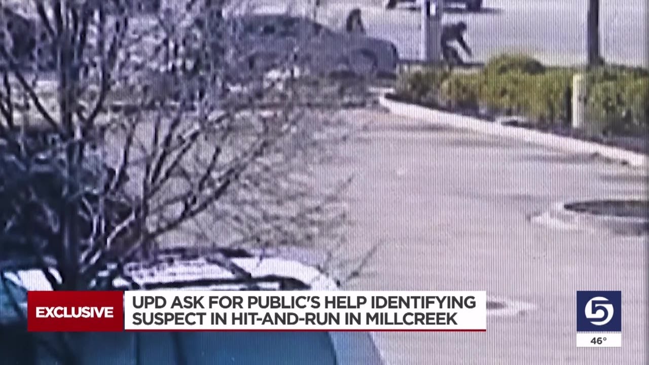 Millcreek family searches for person who hit them on crosswalk and drove away