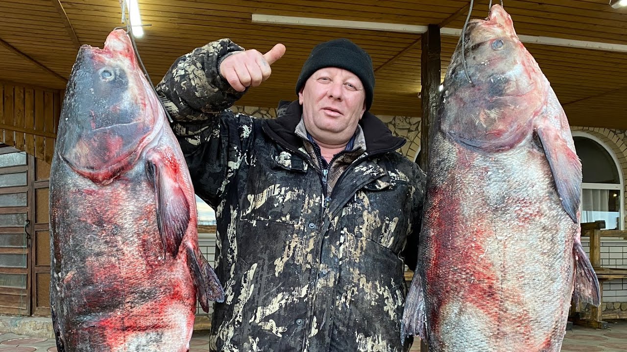 ВНИМАНИЕ‼️КАК ПРАВИЛЬНО ПРИГОТОВИТЬ ОГРОМНУЮ РЫБУ В ДРОВЯНОЙ ПЕЧИ🐟Толстолобик✔️вкусный рецепт