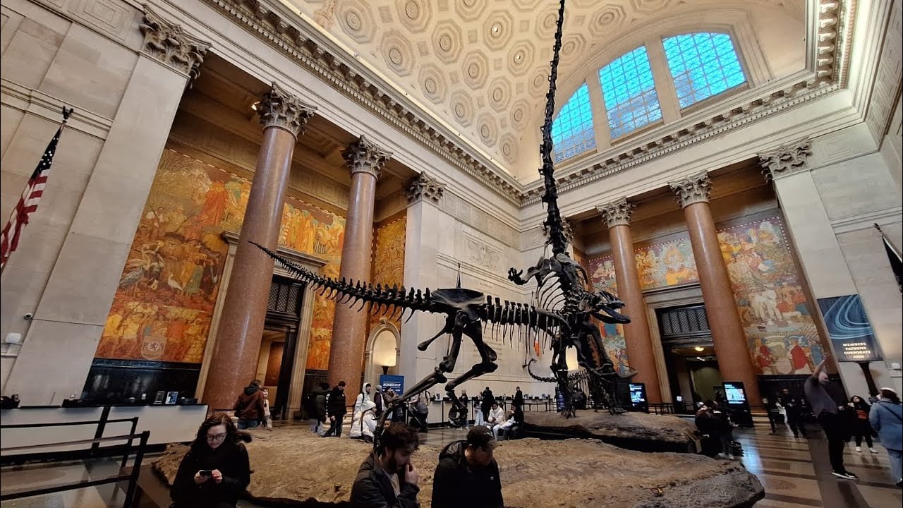 Una visita al museo de Historia Natural de Nueva York 