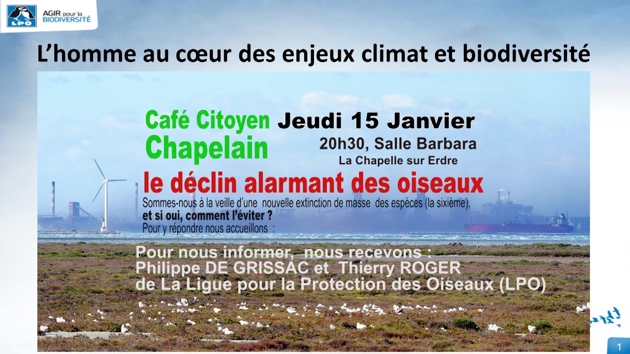 LPO le déclin alarmant des oiseaux