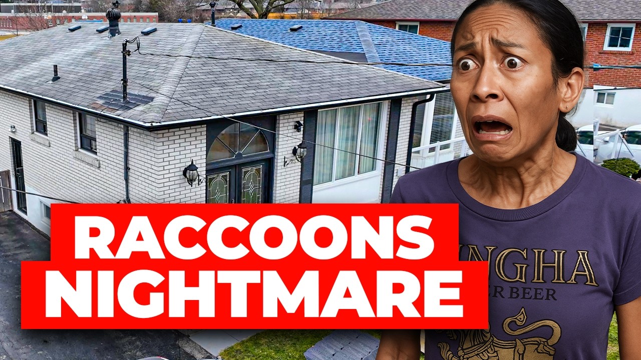 This Widow Was Living in FEAR Until We Knocked on Her Door