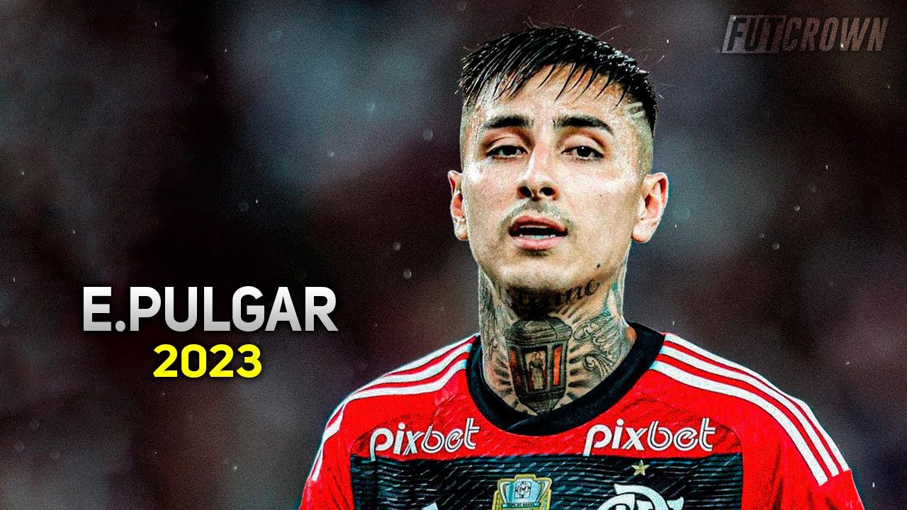Erick Pulgar ● Flamengo ► Crazy Skills, Goals & Tackles | HD