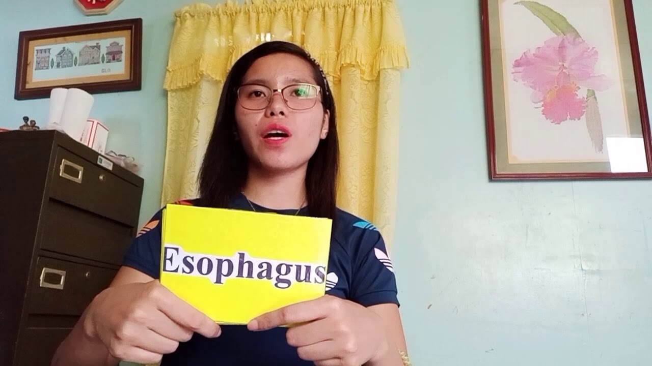Flash Card Presentation